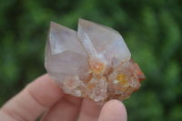 Natural Spirit Amethyst Quartz Crystals  x 24 From Boekenhouthoek, South Africa - Toprock Gemstones and Minerals