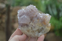 Natural Spirit Amethyst Quartz Clusters  x 6 From Boekenhouthoek, South Africa - Toprock Gemstones and Minerals
