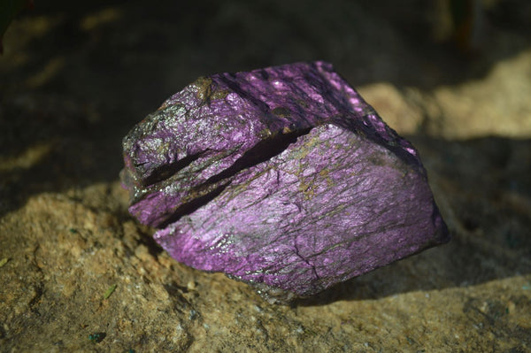 Natural Highly Selected Metallic Purpurite Cobbed Pieces  x 12 From Erongo, Namibia - Toprock Gemstones and Minerals 