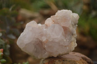 Natural Spirit Cactus Flower Quartz Clusters x 3 From Boekenhouthoek, South Africa - Toprock Gemstones and Minerals
