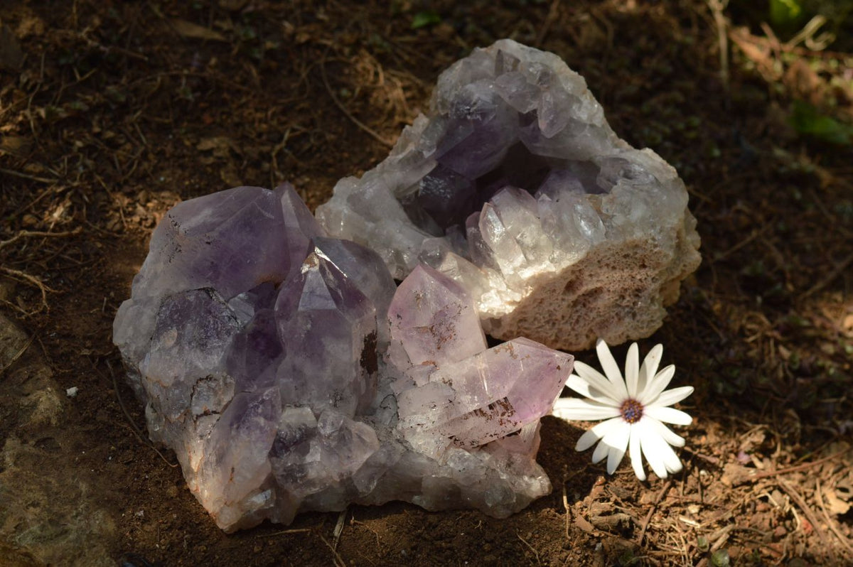 Natural Jacaranda Amethyst Quartz Clusters x 2 From Mumbwa, Zambia - TopRock