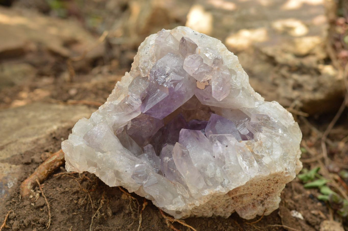 Natural Jacaranda Amethyst Quartz Clusters x 2 From Mumbwa, Zambia - TopRock