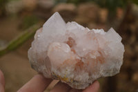 Natural Spirit Cactus Flower Quartz Clusters x 3 From Boekenhouthoek, South Africa - Toprock Gemstones and Minerals