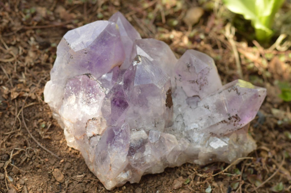 Natural Jacaranda Amethyst Quartz Clusters x 2 From Mumbwa, Zambia - TopRock