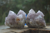 Natural Spirit Amethyst Quartz Clusters  x 6 From Boekenhouthoek, South Africa - Toprock Gemstones and Minerals