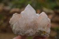Natural Spirit Cactus Flower Quartz Clusters x 3 From Boekenhouthoek, South Africa - Toprock Gemstones and Minerals