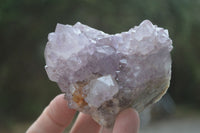 Natural Spirit Amethyst Quartz Clusters  x 6 From Boekenhouthoek, South Africa - Toprock Gemstones and Minerals