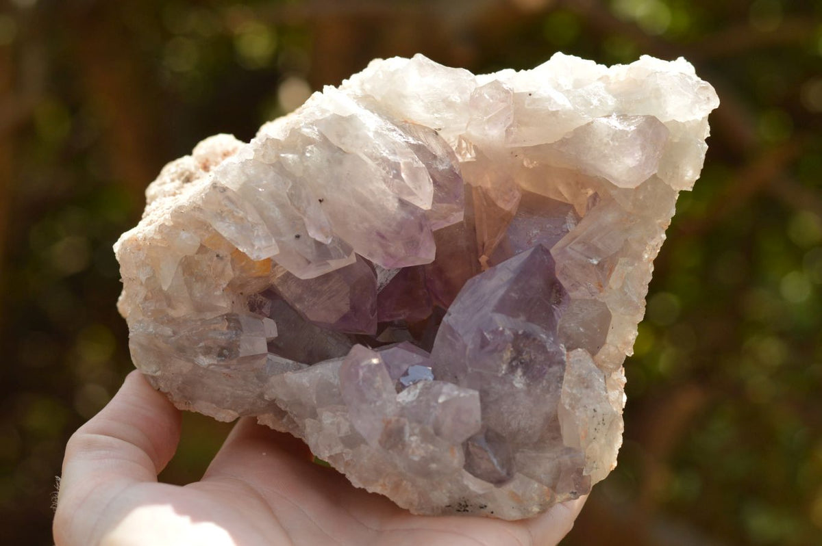 Natural Jacaranda Amethyst Quartz Clusters x 2 From Mumbwa, Zambia - TopRock
