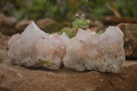 Natural Spirit Cactus Flower Quartz Clusters x 3 From Boekenhouthoek, South Africa - Toprock Gemstones and Minerals