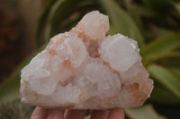 Natural Spirit Cactus Flower Quartz Clusters x 3 From Boekenhouthoek, South Africa - Toprock Gemstones and Minerals