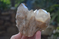 Natural Cascading White Phantom Smokey Quartz Clusters x 2 From Luena, Congo - Toprock Gemstones and Minerals