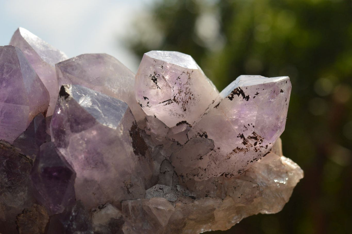 Natural Jacaranda Amethyst Quartz Clusters x 2 From Mumbwa, Zambia - TopRock
