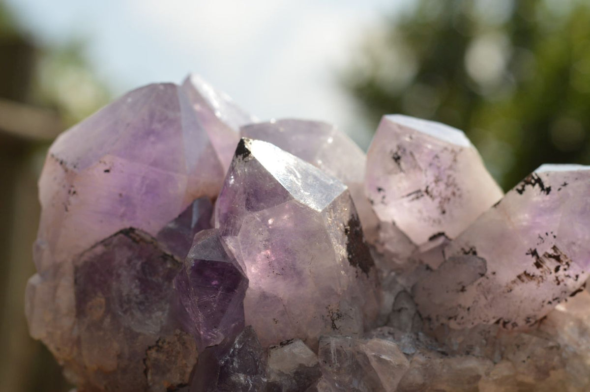 Natural Jacaranda Amethyst Quartz Clusters x 2 From Mumbwa, Zambia - TopRock