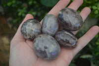 Polished Smokey Dream Amethyst Palm Stones  x 12 From Madagascar - Toprock Gemstones and Minerals