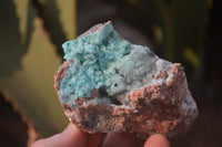 Natural Drusy Coated Chrysocolla Dolomite Specimens x 3 From Congo - Toprock Gemstones and Minerals