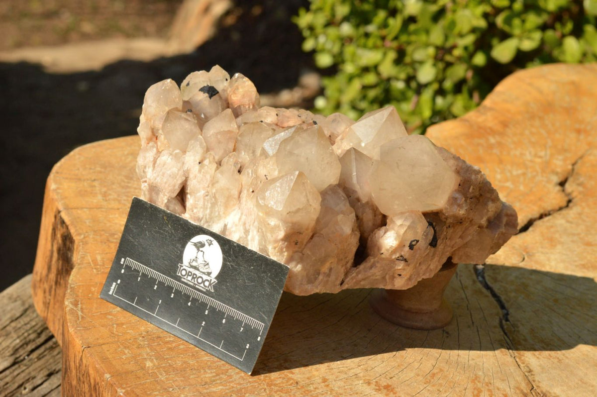 Natural Smokey Phantom Quartz Clusters x 2 From Luena, Congo - TopRock