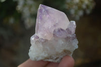 Natural Mixed Spirit Quartz Clusters  x 12 From Boekenhouthoek, South Africa - Toprock Gemstones and Minerals