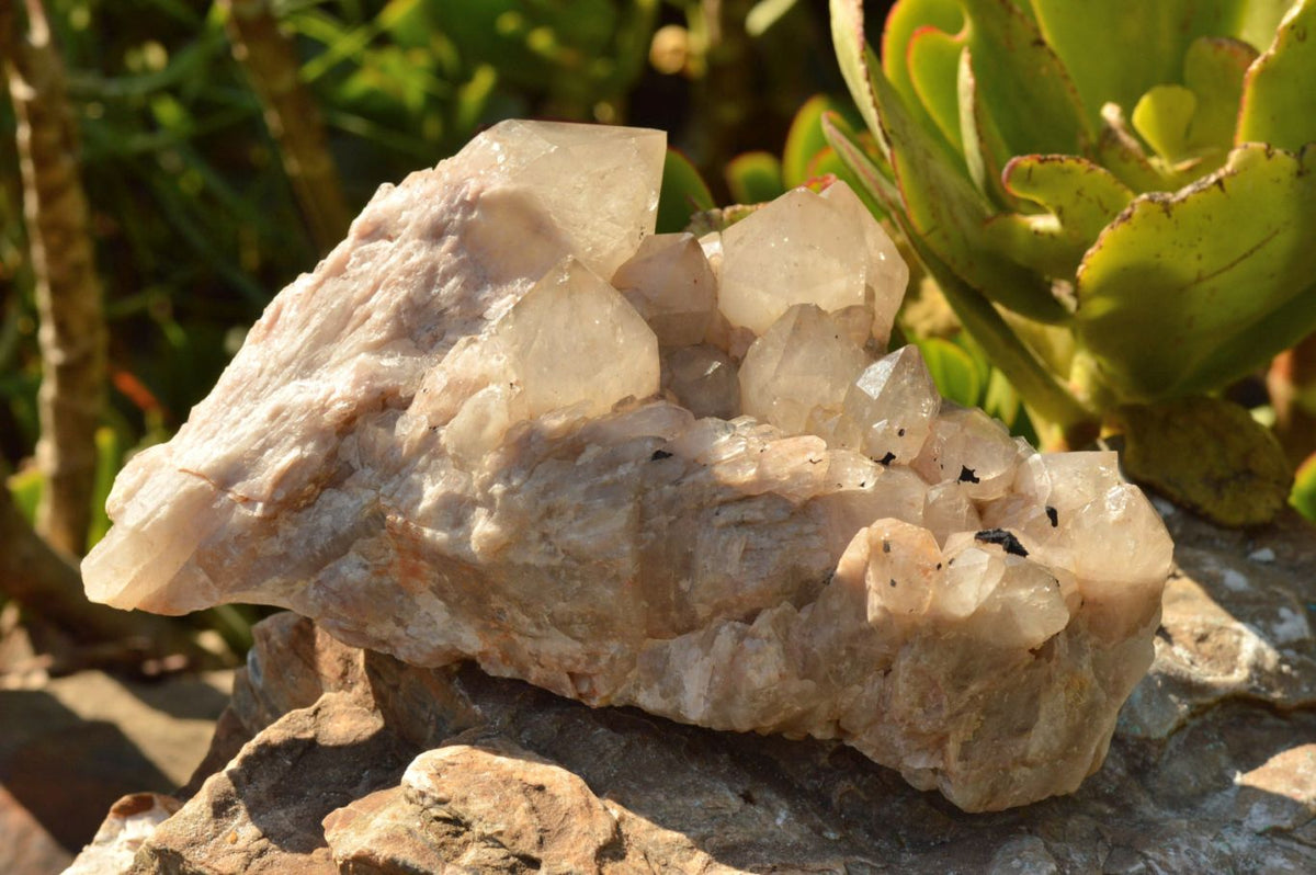 Natural Smokey Phantom Quartz Clusters x 2 From Luena, Congo - TopRock