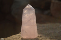 Polished Gemmy Rose Quartz Points x 6 From Antsirabe, Madagascar - Toprock Gemstones and Minerals