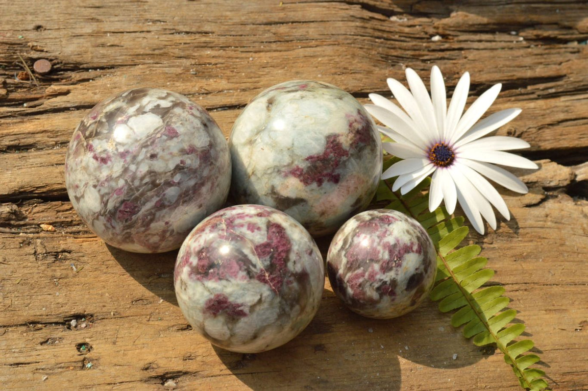 Polished Small & Medium Sized Pink Tourmaline Rubellite Spheres x 4 From Madagascar - TopRock