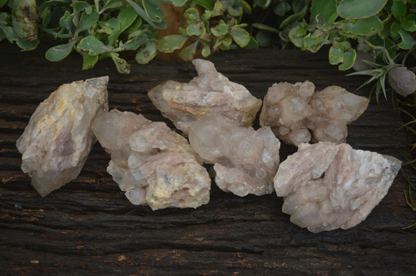 Natural Cascading White Phantom Crystal Clusters  x 6 From Luena, Congo - Toprock Gemstones and Minerals 