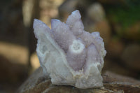 Natural Mixed Spirit Quartz Clusters  x 12 From Boekenhouthoek, South Africa - Toprock Gemstones and Minerals