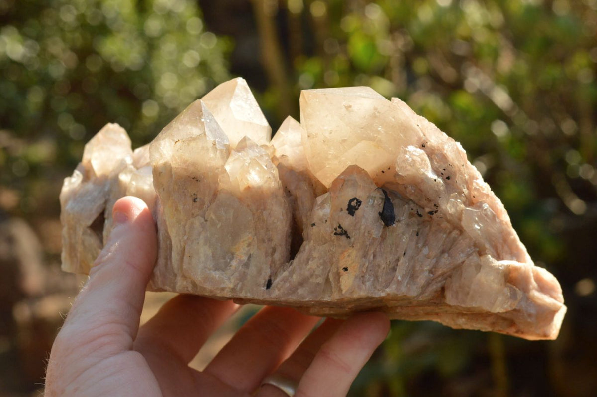 Natural Smokey Phantom Quartz Clusters x 2 From Luena, Congo - TopRock