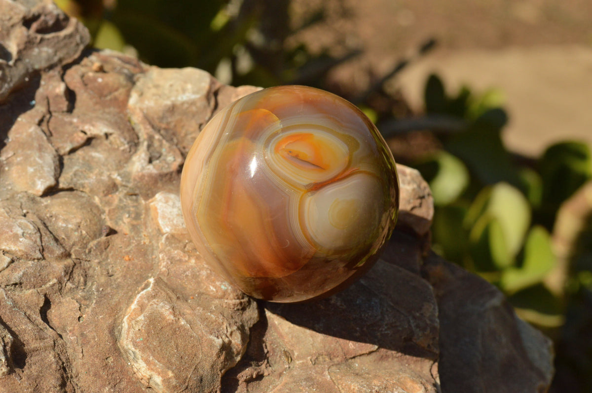 Polished Stunning Selection Of Banded Agate Spheres x 5 From Madagascar - TopRock