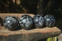 Polished Merlinite Gabbro Spheres  x 4 From Madagascar - Toprock Gemstones and Minerals