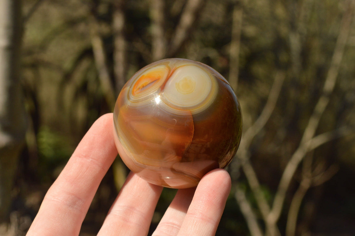 Polished Stunning Selection Of Banded Agate Spheres x 5 From Madagascar - TopRock