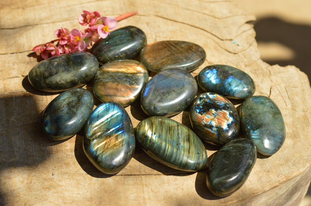 Polished Labradorite Palm Stones With Intense Blue & Gold Flash x 12 From Tulear, Madagascar - TopRock