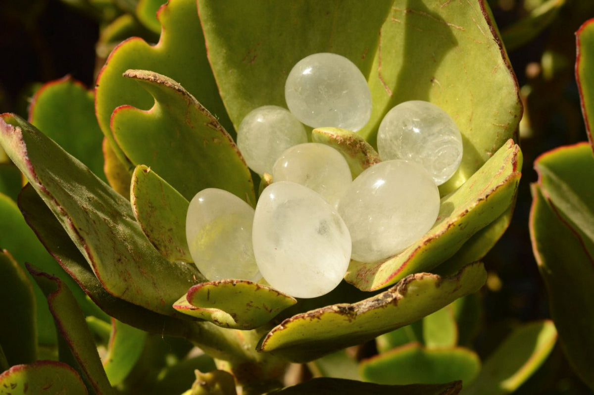 Polished Selection Of Girasol Pearl & Clear Quartz Eggs x 20 From Madagascar - TopRock
