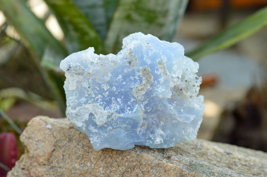 Natural Etched Blue Chalcedony Agate Specimens x 5 From Nsanje, Malawi - TopRock