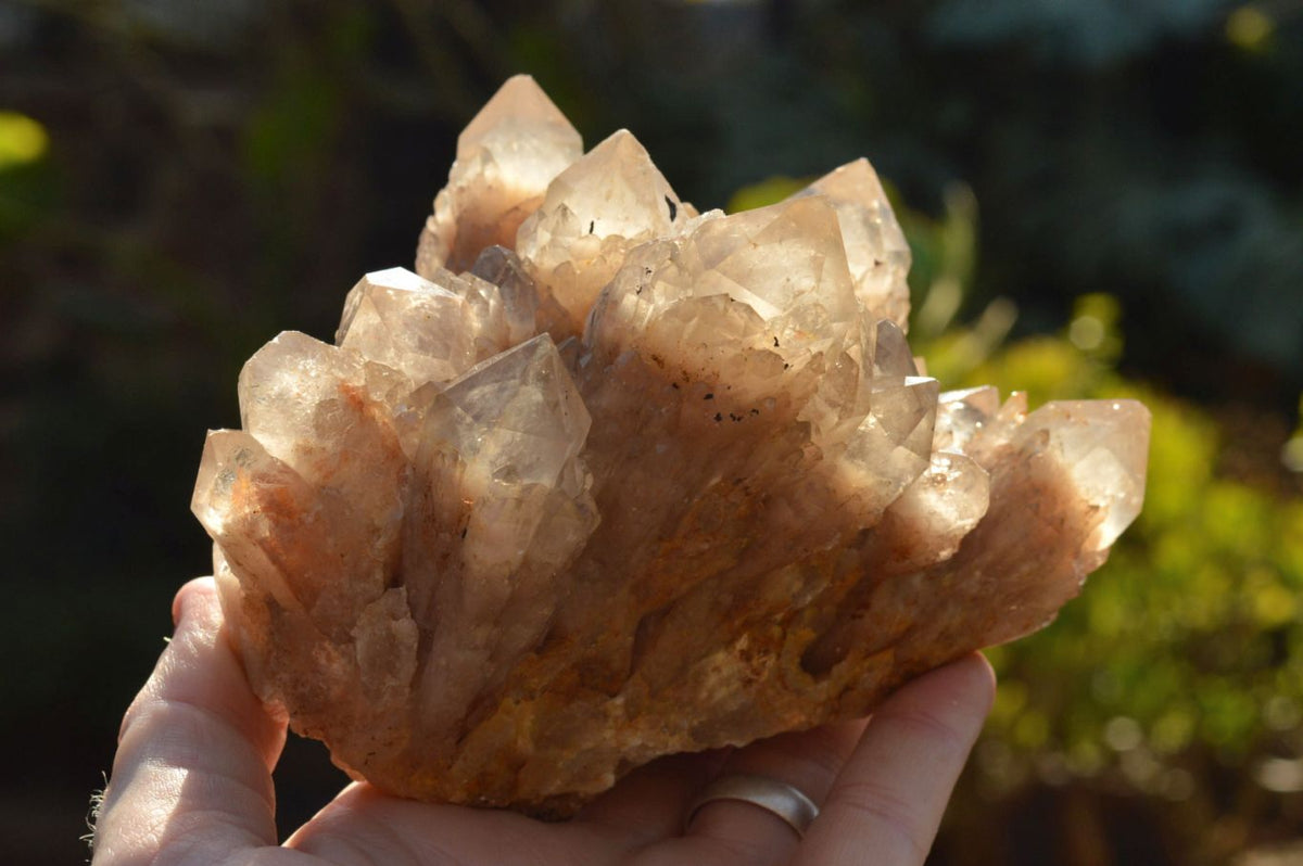 Natural Smokey Phantom Quartz Clusters x 2 From Luena, Congo - TopRock