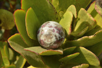 Polished Small & Medium Sized Pink Tourmaline Rubellite Spheres  x 4 From Madagascar - TopRock