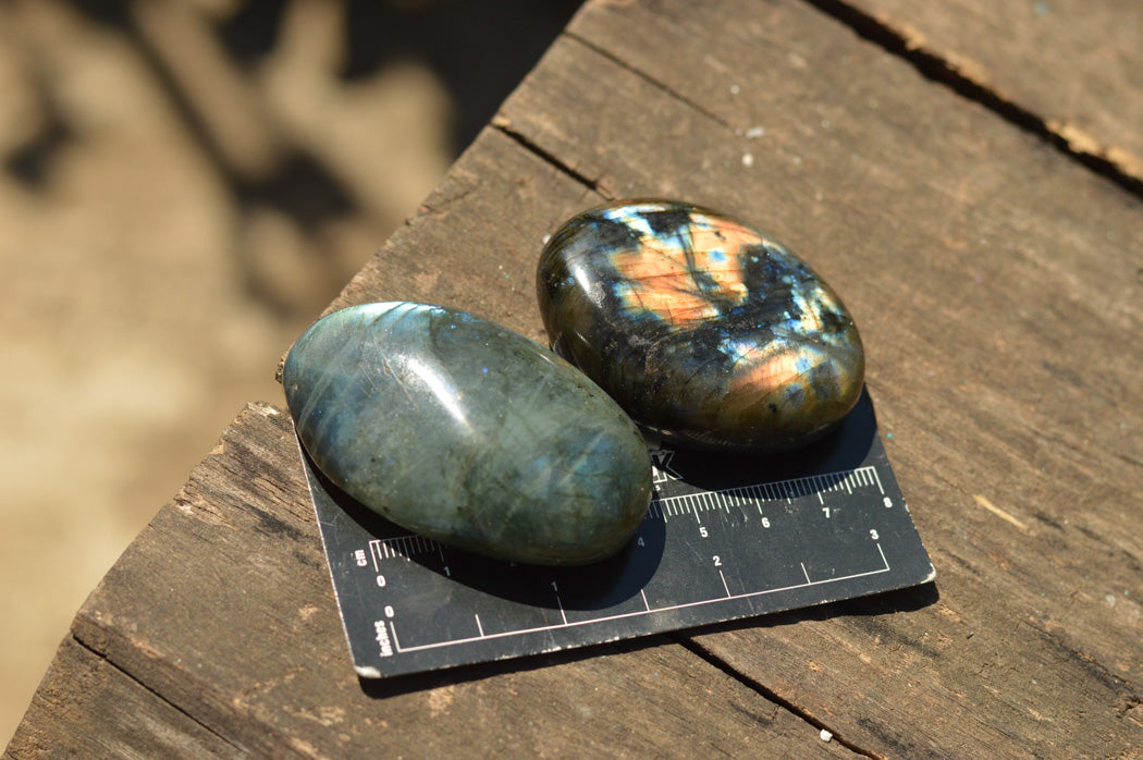 Polished Labradorite Palm Stones With Intense Blue & Gold Flash x 12 From Tulear, Madagascar - TopRock