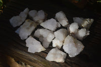 Natural White Cactus Flower Spirit Quartz Specimens x 12 From Boekenhouthoek, South Africa - Toprock Gemstones and Minerals