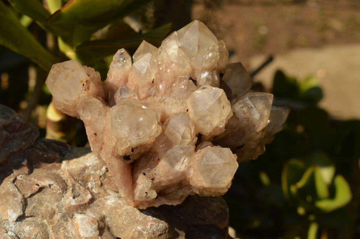 Natural Smokey Phantom Quartz Clusters x 2 From Luena, Congo - TopRock