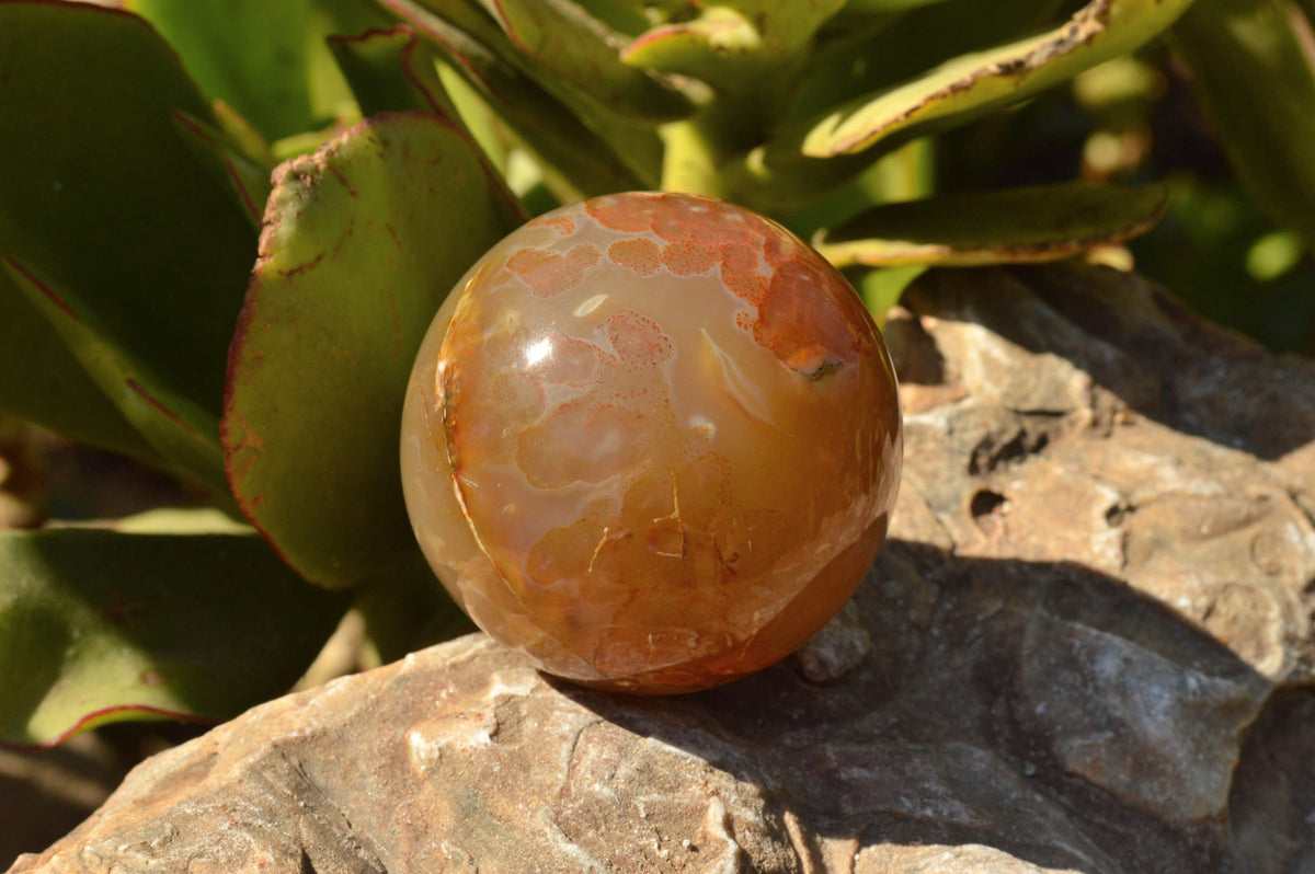 Polished Stunning Selection Of Banded Agate Spheres x 5 From Madagascar - TopRock