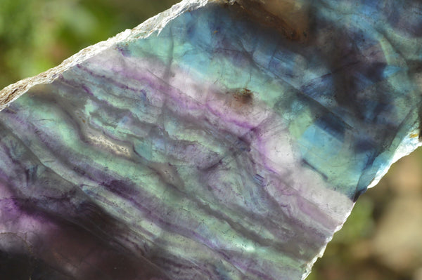 Polished Watermelon Fluorite Slices (Green, Blue, Purple) x 1 From Vis, Namibia - TopRock