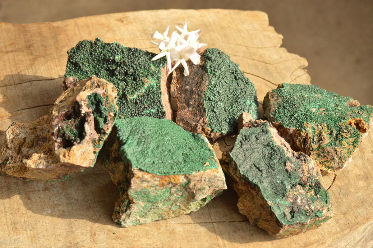 Natural Micro Botryoidal Malachite on Matrix Specimens x 6 From Tenke Fungurume, Congo - TopRock