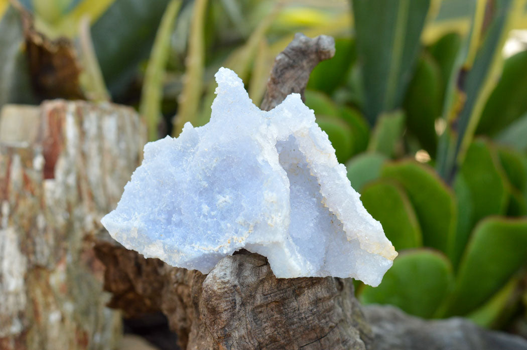 Natural Etched Blue Chalcedony Agate Specimens x 5 From Nsanje, Malawi - TopRock