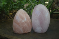 Polished Rose Quartz Standing Free Forms x 2 From Antsirabe, Madagascar - Toprock Gemstones and Minerals