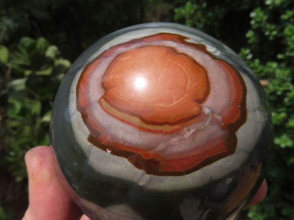 Polished Polychrome Jasper Spheres x 3 From North West Coast, Madagascar - TopRock