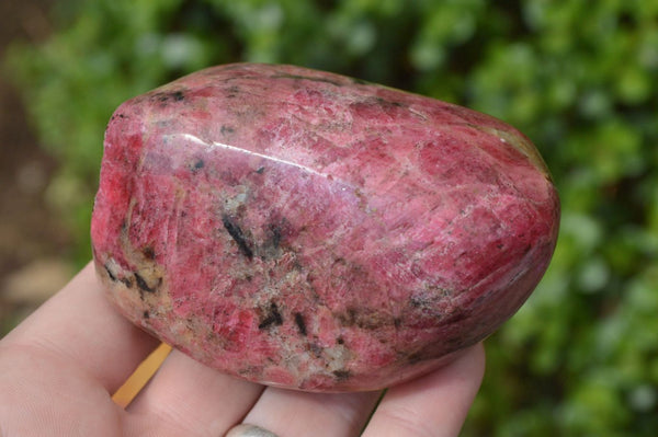 Polished Red Rhodonite Free Forms (Some Standing) x 6 From Rushinga, Zimbabwe - TopRock