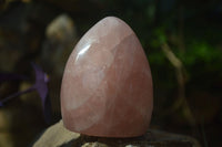 Polished Rose Quartz Standing Free Forms x 2 From Antsirabe, Madagascar - Toprock Gemstones and Minerals