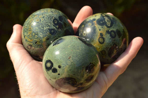 Polished Stromatolite / Kambamba Jasper Spheres  x 4 From Katsepy, Madagascar - TopRock