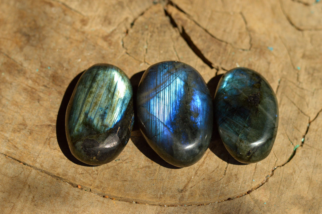 Polished Labradorite Palm Stones With Intense Blue & Gold Flash x 12 From Tulear, Madagascar - TopRock