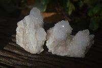 Natural White Cactus Flower Spirit Quartz Specimens x 12 From Boekenhouthoek, South Africa - Toprock Gemstones and Minerals