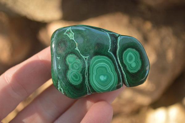 Polished Flower Banded Malachite Free Forms  x 12 From Congo